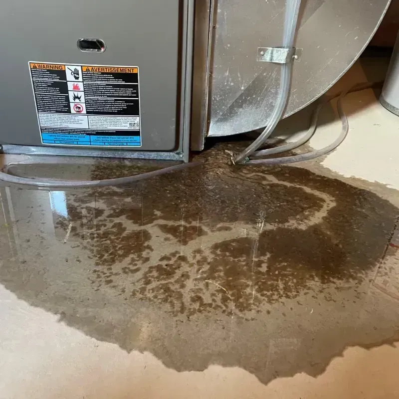 Appliance Leak Cleanup in Grant City, NY